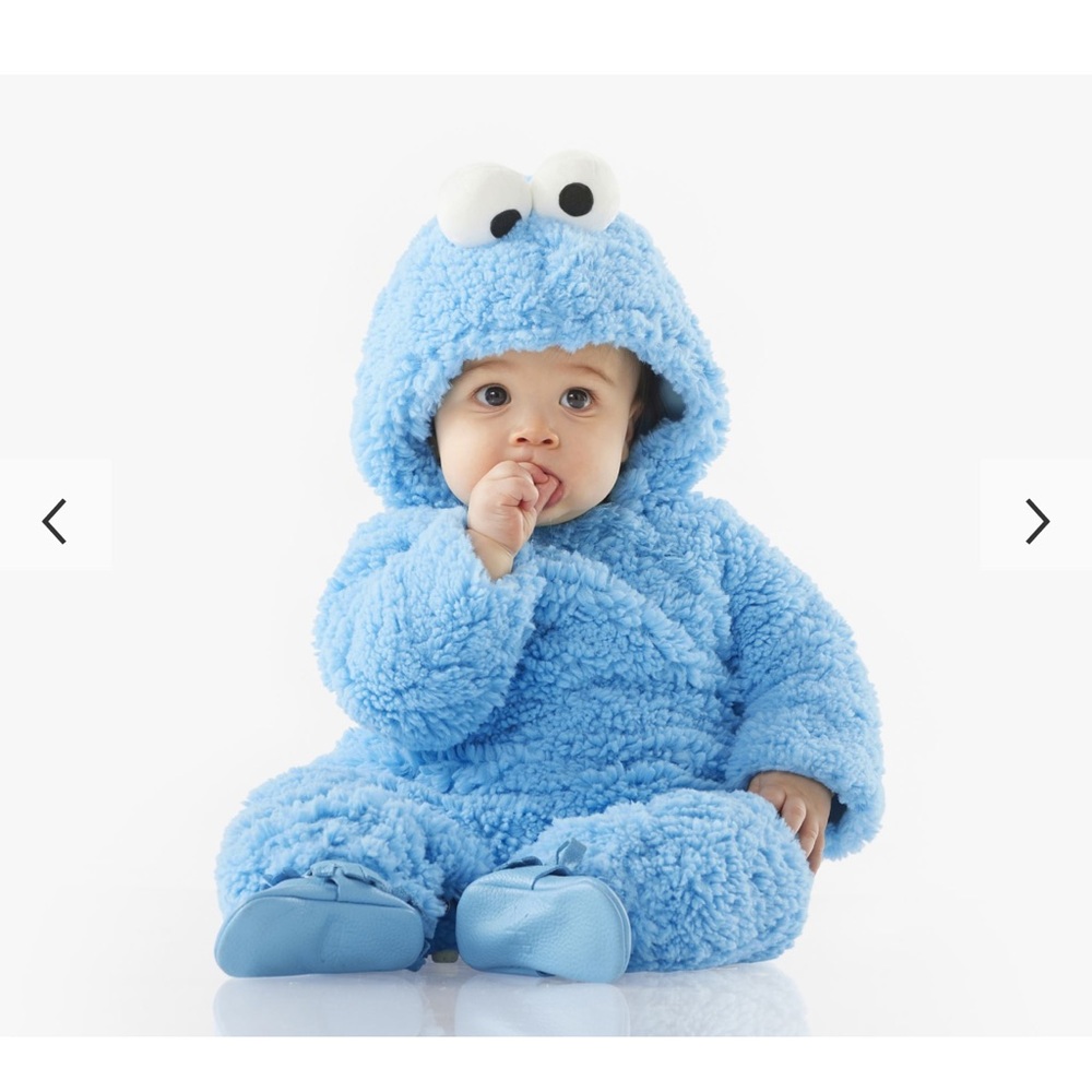 Pottery Barn Kids Blue Fuzzy Costume